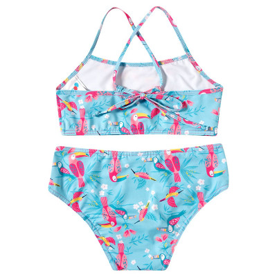 5286391_AZUL_1-BcRXPtawAUQufFD